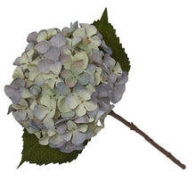 Load image into Gallery viewer, Single Hydrangea Two Tone Green and Blue Faux Stem
