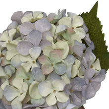 Load image into Gallery viewer, Single Hydrangea Two Tone Green and Blue Faux Stem
