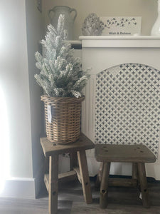 Potted Snowy Indoor Tree