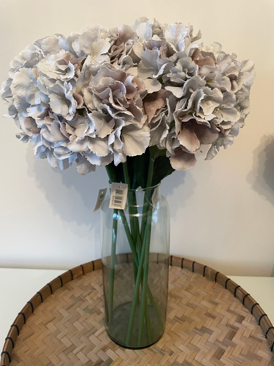 French Hydrangea