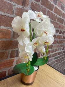 Artificial Cream Orchid in Rose Gold Glass Pot