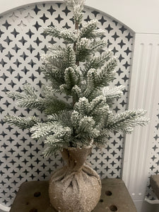 Indoor Snowy Tree