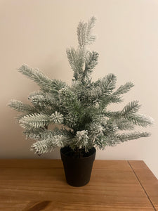 Potted Snowy Indoor Tree