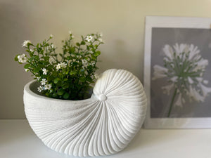 Shell Planter