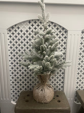 Load image into Gallery viewer, Indoor Snowy Tree
