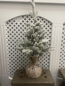 Indoor Snowy Tree