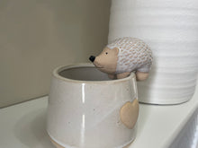 Load image into Gallery viewer, Hedgehog Planter
