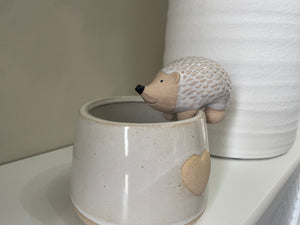 Hedgehog Planter