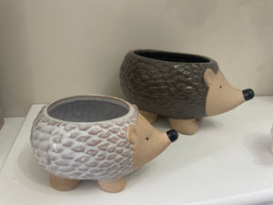 Hedgehog Planter