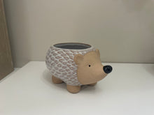 Load image into Gallery viewer, Hedgehog Planter
