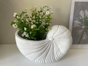 Shell Planter