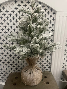 Indoor Snowy Tree