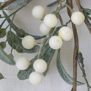 White Berry Sprig with Frosted Leaves