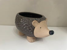 Load image into Gallery viewer, Hedgehog Planter
