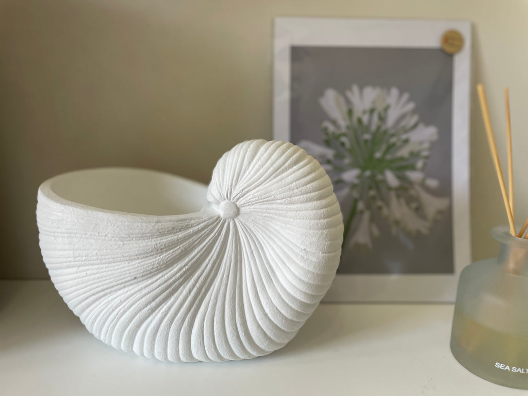 Shell Planter