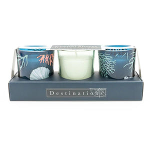 Coastal Shores Mini Votives with Seasalt Scent