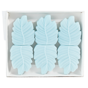 Juniper Rain Box of 6 Leaf Shaped Wax Melts