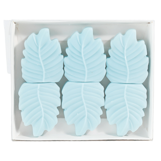 Juniper Rain Box of 6 Leaf Shaped Wax Melts